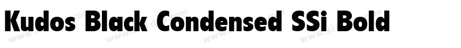 Kudos Black Condensed SSi Bold Condensed字体转换